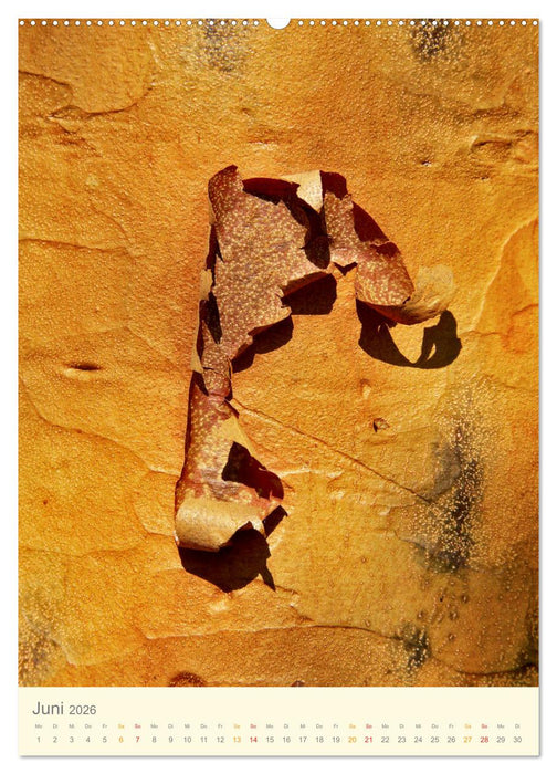 Baumhaut (CALVENDO Wandkalender 2026)