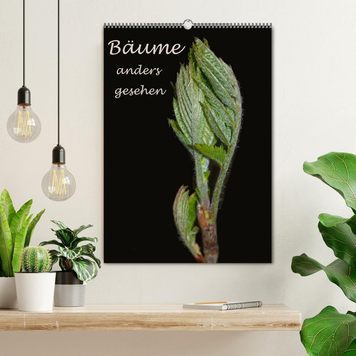 Bäume anders gesehen (CALVENDO Wandkalender 2026)