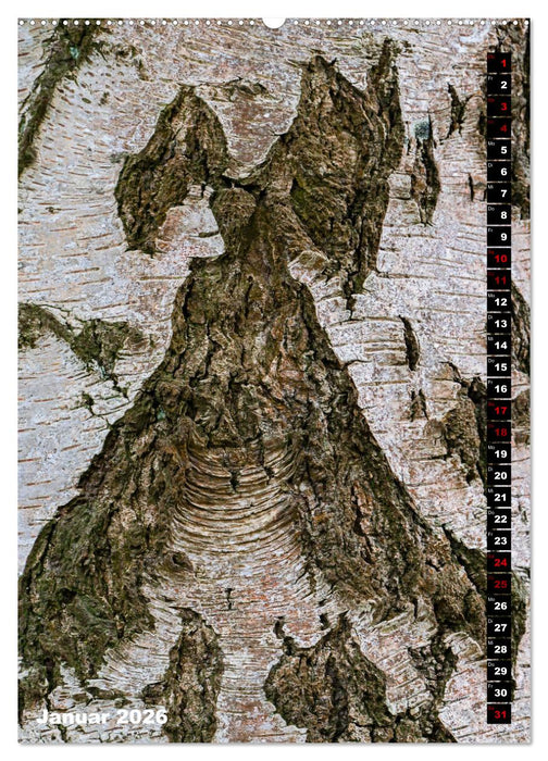 Bäume anders gesehen (CALVENDO Wandkalender 2026)