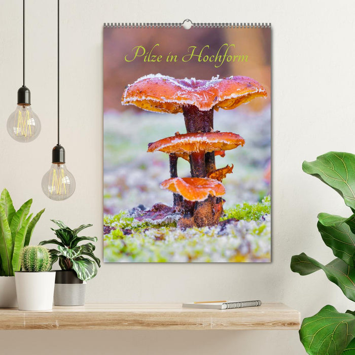 Pilze in Hochform (CALVENDO Wandkalender 2026)