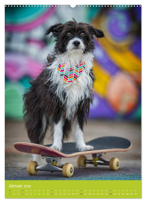 Graffiti Dogs Kunterbunt (CALVENDO Premium Wandkalender 2026)