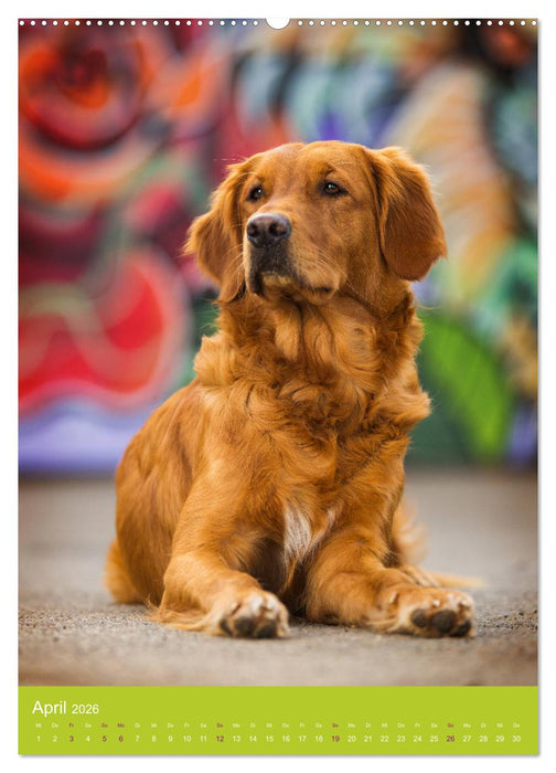 Graffiti Dogs Kunterbunt (CALVENDO Premium Wandkalender 2026)