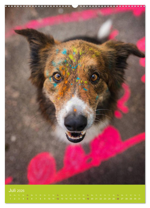 Graffiti Dogs Kunterbunt (CALVENDO Premium Wandkalender 2026)