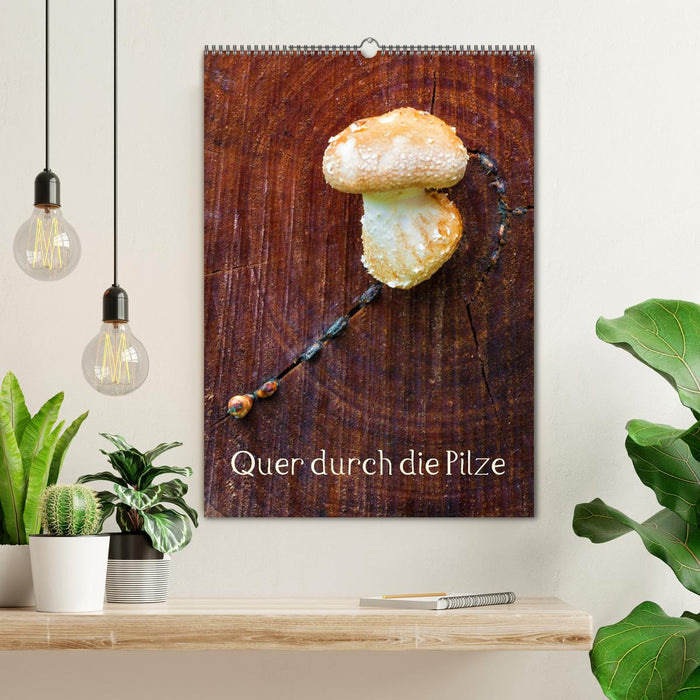 Quer durch die Pilze (CALVENDO Wandkalender 2026)