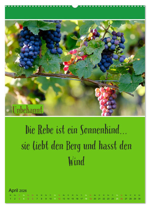 WEIN Weisheiten und Sprichworte (CALVENDO Wandkalender 2026)