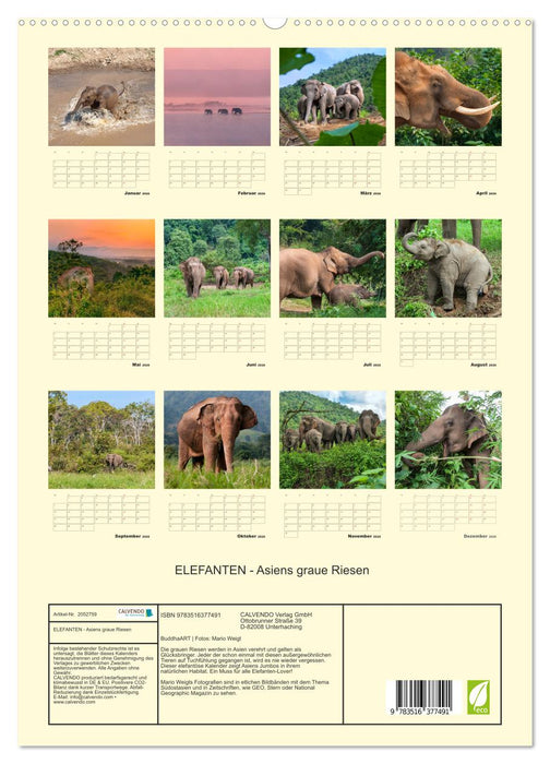 ELEFANTEN - Asiens graue Riesen (CALVENDO Premium Wandkalender 2026)