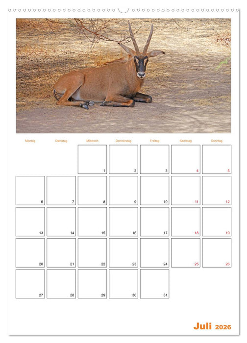 Gambia und Senegal erleben (CALVENDO Premium Wandkalender 2026)