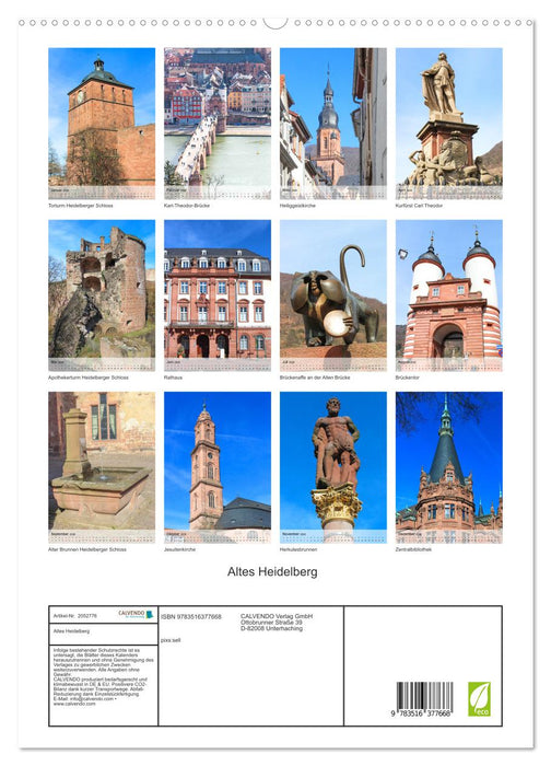 Altes Heidelberg (CALVENDO Premium Wandkalender 2026)