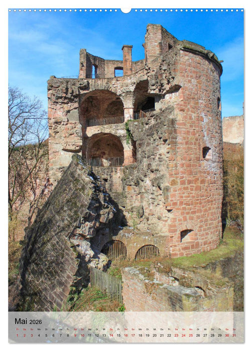 Altes Heidelberg (CALVENDO Premium Wandkalender 2026)