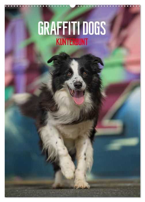 Graffiti Dogs Kunterbunt (CALVENDO Wandkalender 2026)