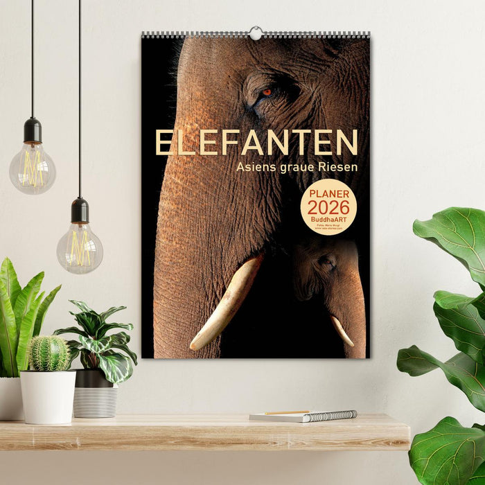 ELEFANTEN - Asiens graue Riesen (CALVENDO Wandkalender 2026)