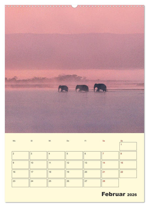 ELEFANTEN - Asiens graue Riesen (CALVENDO Wandkalender 2026)