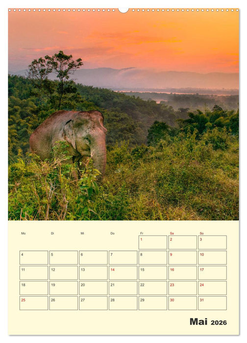 ELEFANTEN - Asiens graue Riesen (CALVENDO Wandkalender 2026)