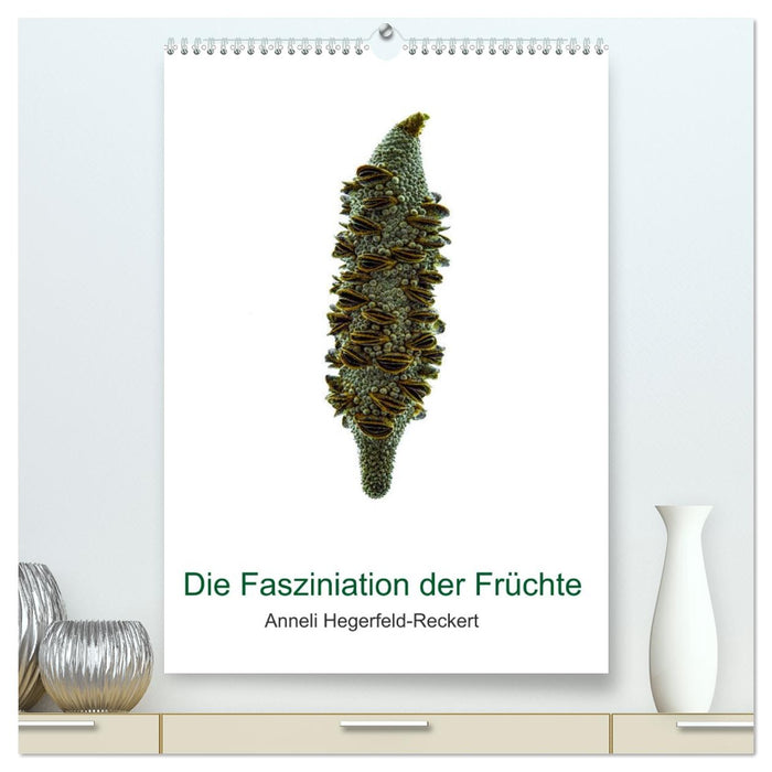 Die Faszination der Früchte (CALVENDO Premium Wandkalender 2026)