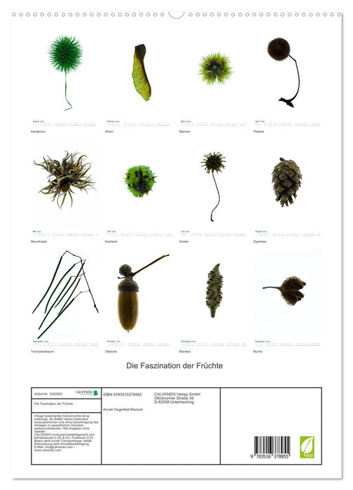 Die Faszination der Früchte (CALVENDO Premium Wandkalender 2026)