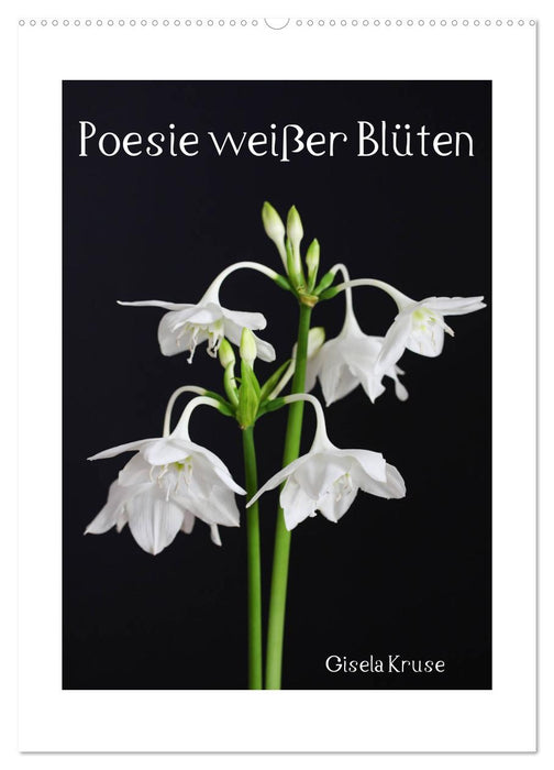 Poesie weißer Blüten (CALVENDO Wandkalender 2026)