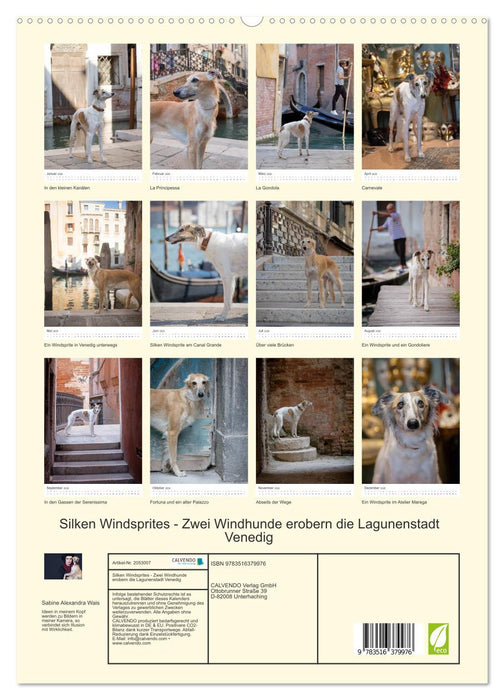 Silken Windsprites - Zwei Windhunde erobern die Lagunenstadt Venedig (CALVENDO Premium Wandkalender 2026)