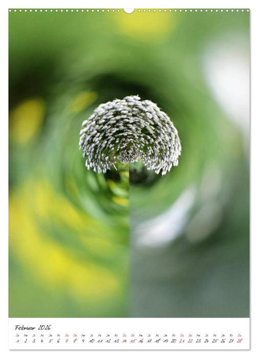 Durchschnittlich - Verzauberte Flora (CALVENDO Premium Wandkalender 2026)