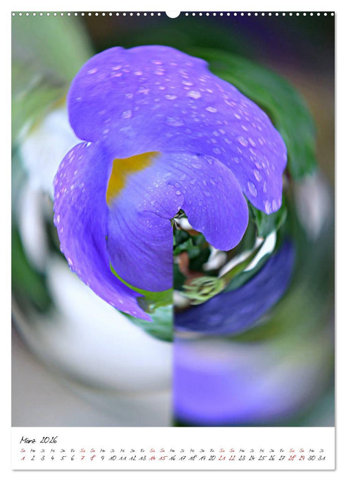 Durchschnittlich - Verzauberte Flora (CALVENDO Premium Wandkalender 2026)