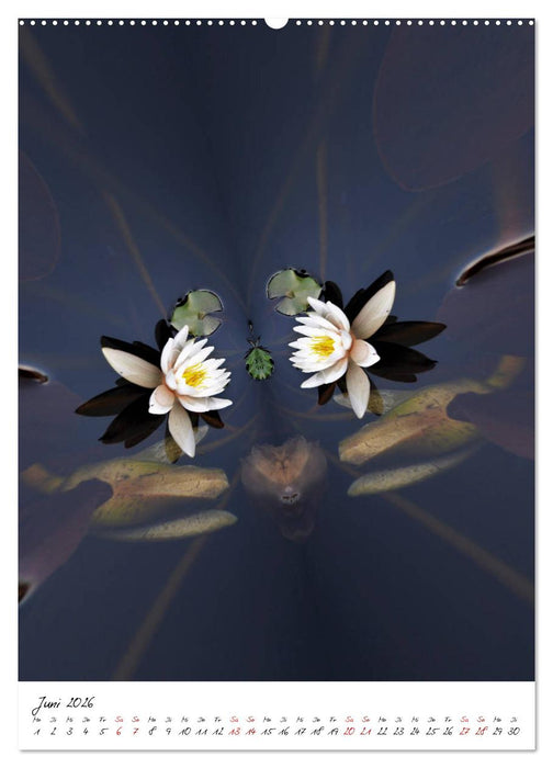 Durchschnittlich - Verzauberte Flora (CALVENDO Premium Wandkalender 2026)