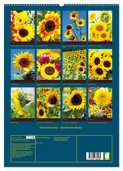 Sonnenblumen - Strahlende Blüten (CALVENDO Premium Wandkalender 2026)
