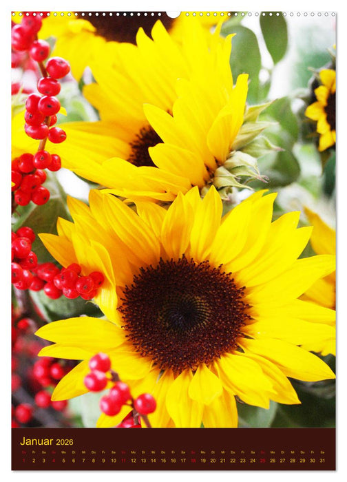 Sonnenblumen - Strahlende Blüten (CALVENDO Premium Wandkalender 2026)