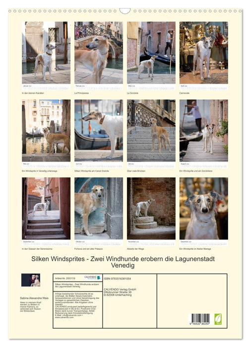 Silken Windsprites - Zwei Windhunde erobern die Lagunenstadt Venedig (CALVENDO Wandkalender 2026)
