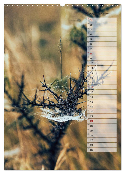 Kalender - Natur im Detail (CALVENDO Premium Wandkalender 2026)