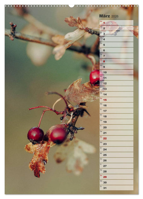 Kalender - Natur im Detail (CALVENDO Premium Wandkalender 2026)