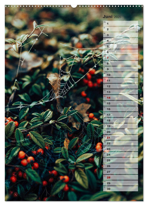 Kalender - Natur im Detail (CALVENDO Premium Wandkalender 2026)