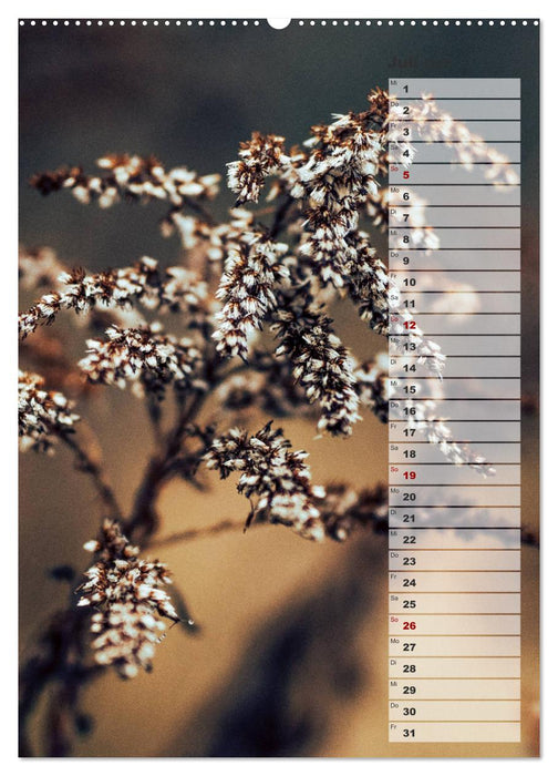 Kalender - Natur im Detail (CALVENDO Premium Wandkalender 2026)