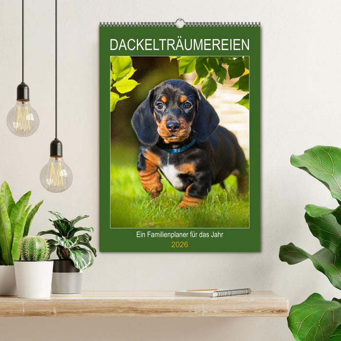 Dackelträume - Ein Familienplaner für das Jahr (CALVENDO Wandkalender 2026)