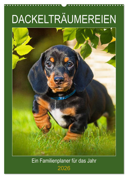 Dackelträume - Ein Familienplaner für das Jahr (CALVENDO Wandkalender 2026)