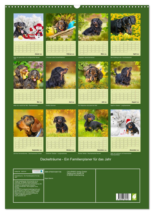 Dackelträume - Ein Familienplaner für das Jahr (CALVENDO Wandkalender 2026)
