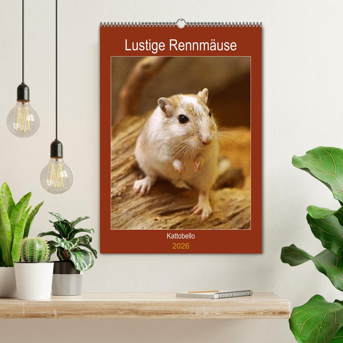 Lustige Rennmäuse (CALVENDO Wandkalender 2026)