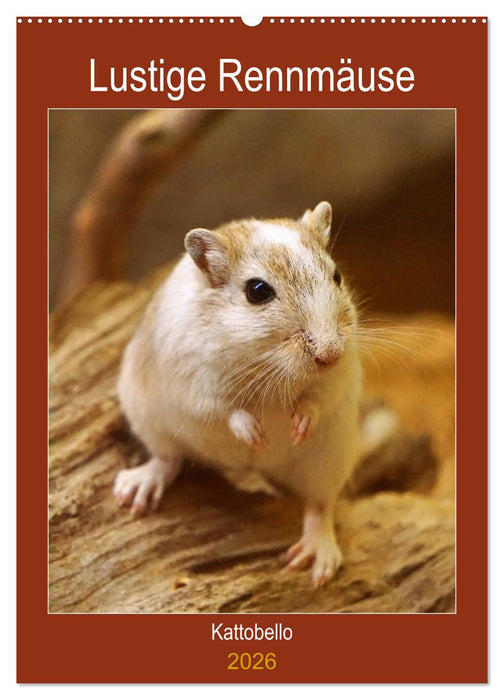 Lustige Rennmäuse (CALVENDO Wandkalender 2026)