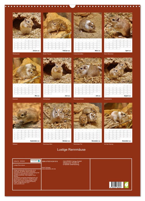 Lustige Rennmäuse (CALVENDO Wandkalender 2026)