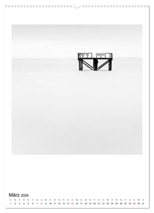 Seesicht - Bodenseestimmungen (CALVENDO Wandkalender 2026)