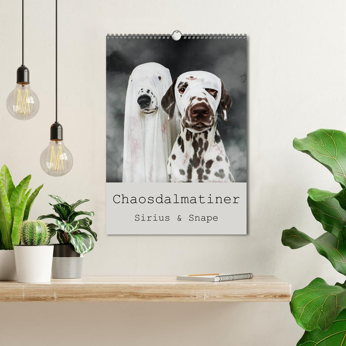 Chaosdalmatiner Sirius und Snape (CALVENDO Wandkalender 2026)