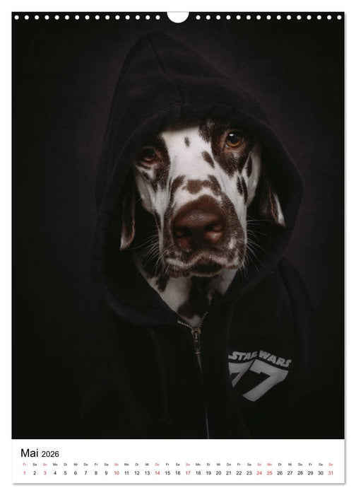 Chaosdalmatiner Sirius und Snape (CALVENDO Wandkalender 2026)