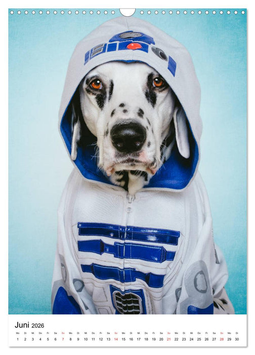 Chaosdalmatiner Sirius und Snape (CALVENDO Wandkalender 2026)