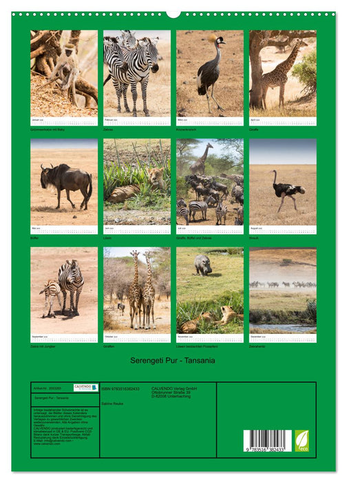Serengeti Pur - Tansania (CALVENDO Premium Wandkalender 2026)