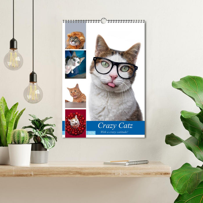 Crazy Catz. (CALVENDO Wandkalender 2026)