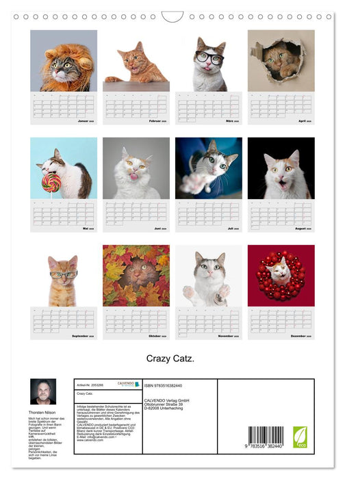 Crazy Catz. (CALVENDO Wandkalender 2026)