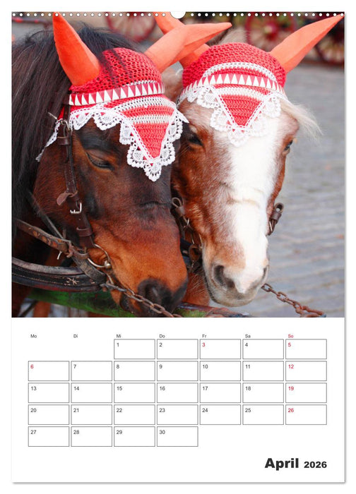 Rheinsberg mit Hafendorf (CALVENDO Wandkalender 2026)