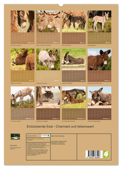 Entzückende Esel - Charmant und liebenswert (CALVENDO Premium Wandkalender 2026)