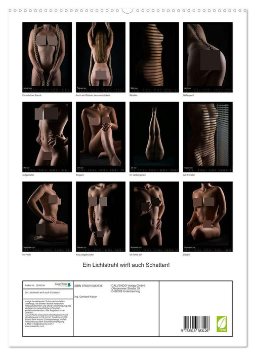 Ein Lichtstrahl wirft auch Schatten! (CALVENDO Premium Wandkalender 2026)
