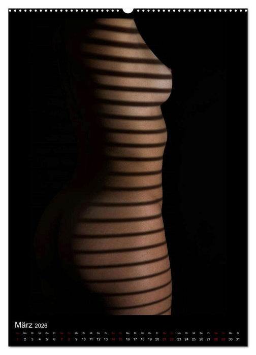 Ein Lichtstrahl wirft auch Schatten! (CALVENDO Premium Wandkalender 2026)