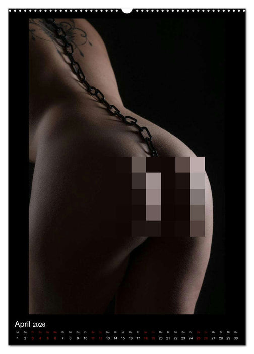 Ein Lichtstrahl wirft auch Schatten! (CALVENDO Premium Wandkalender 2026)