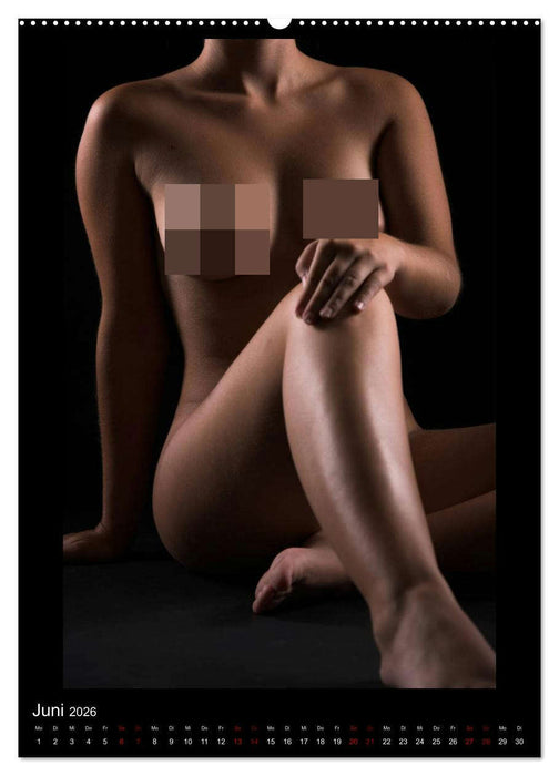 Ein Lichtstrahl wirft auch Schatten! (CALVENDO Premium Wandkalender 2026)